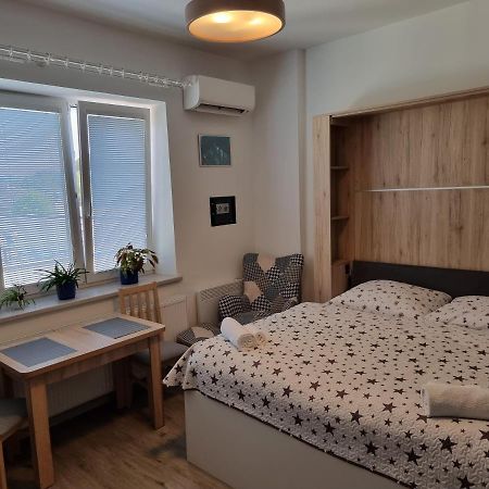 דירות דצ'ין Garsoniera Dukla 289 מראה חיצוני תמונה