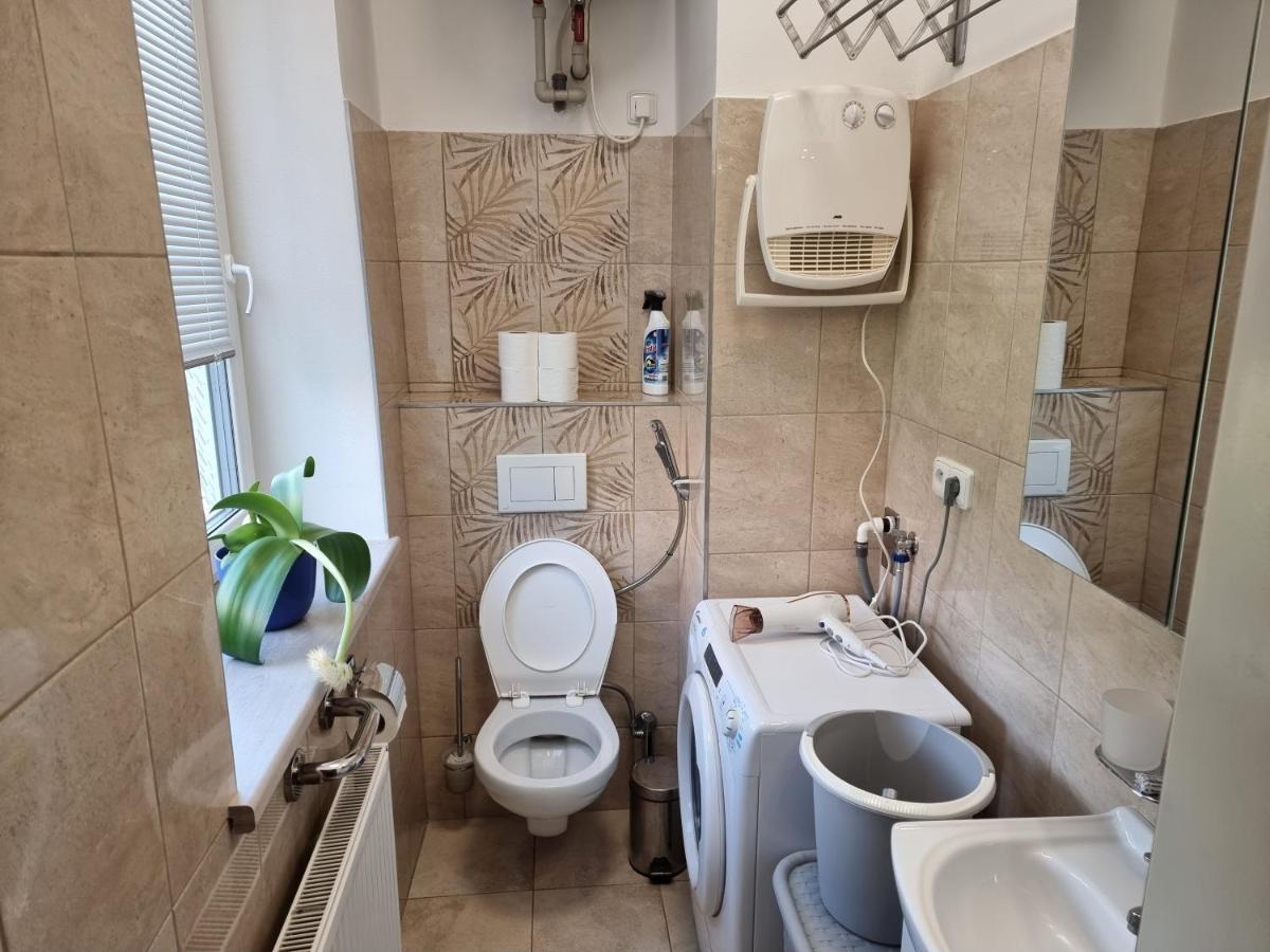 דירות דצ'ין Garsoniera Dukla 289 מראה חיצוני תמונה